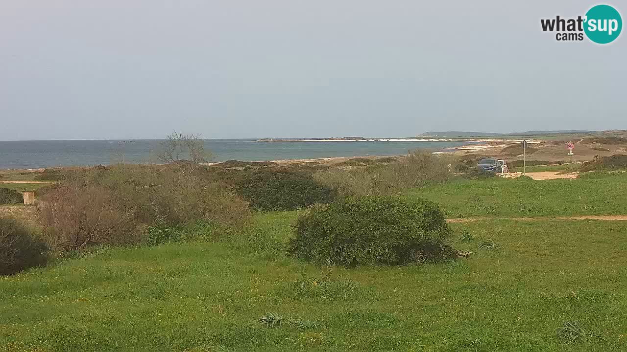 Mari Ermi beach | Is Arutas – Oristano