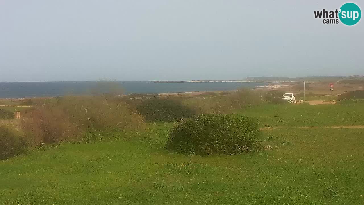 Plaža Mari Ermi | Is Arutas – Oristano