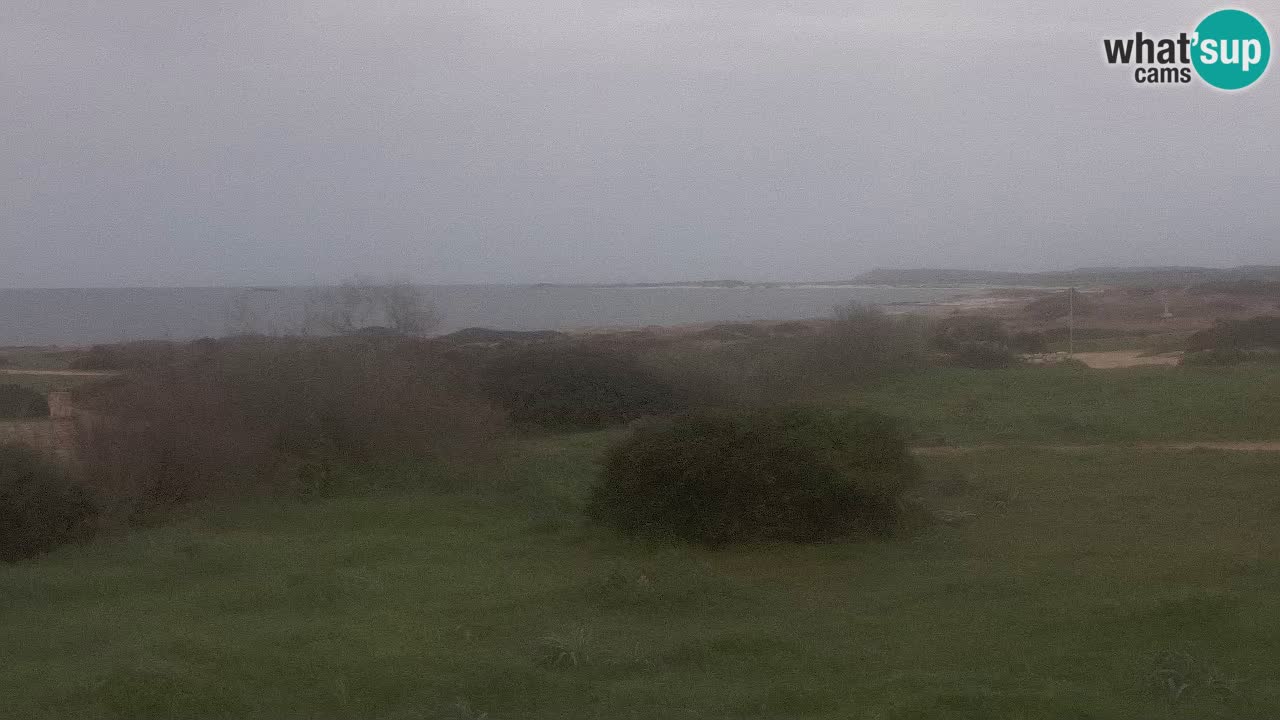 Spiaggia Mari Ermi | Is Arutas – Oristano