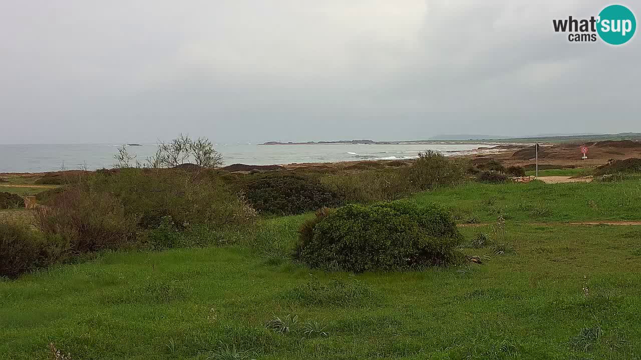 Plaža Mari Ermi | Is Arutas – Oristano