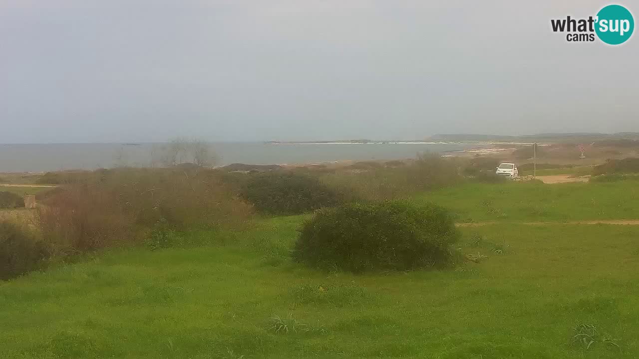 Playa Mari Ermi | Is Arutas – Oristano