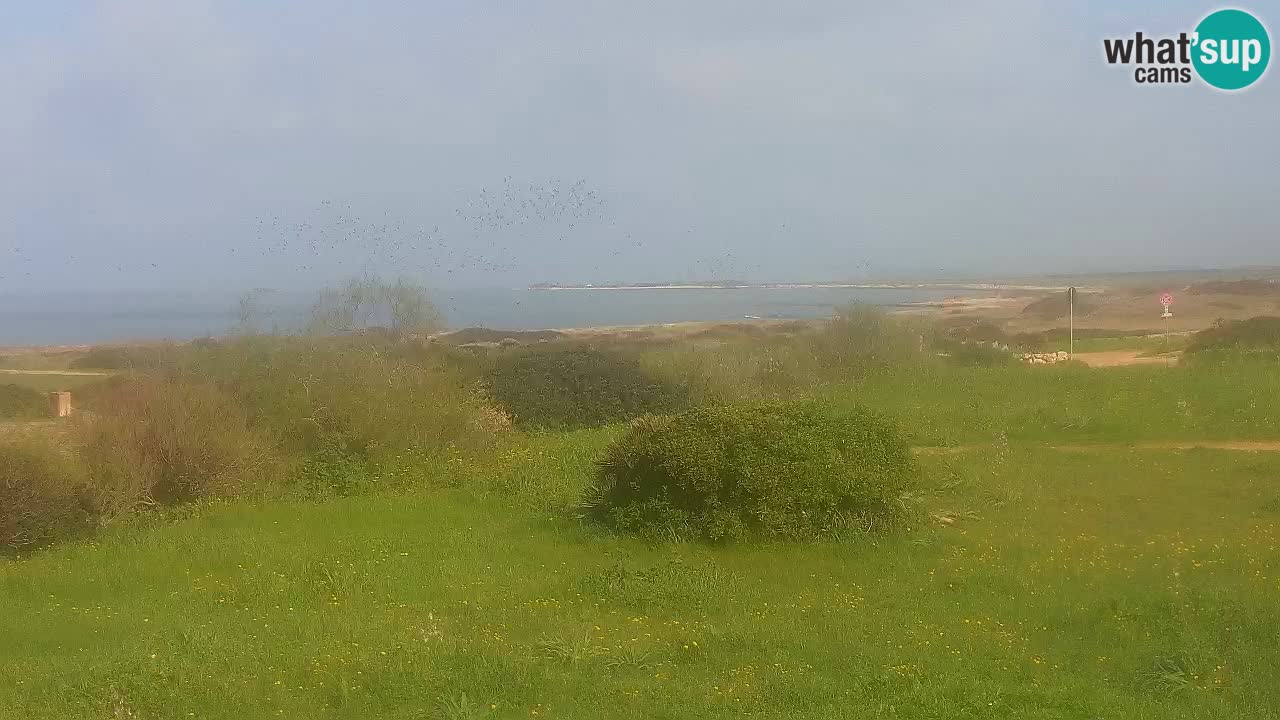 Mari Ermi beach | Is Arutas – Oristano