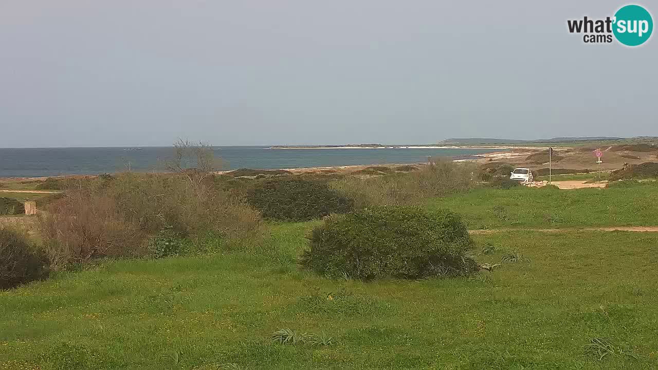 Mari Ermi Strand | Is Arutas – Oristano