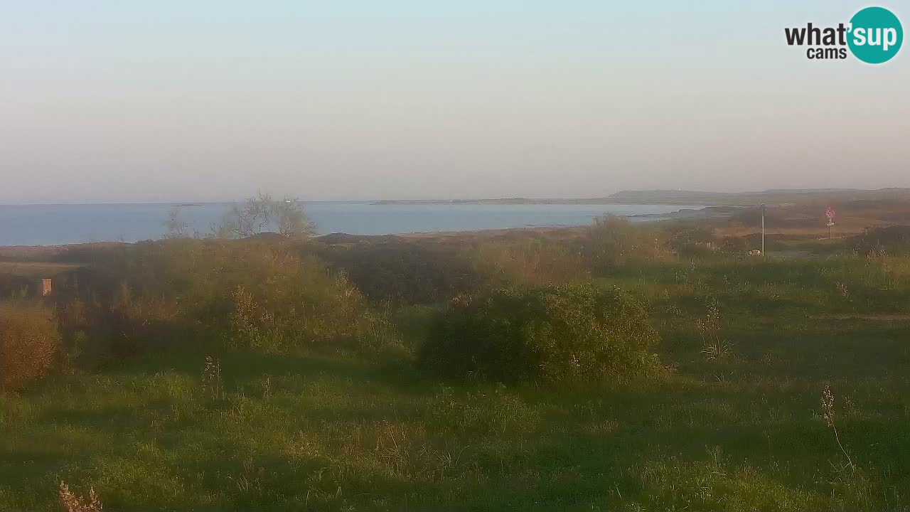Mari Ermi Strand | Is Arutas – Oristano