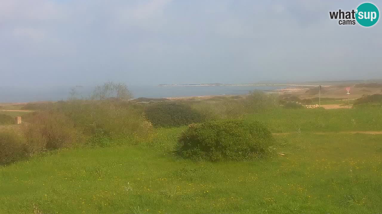 Spiaggia Mari Ermi | Is Arutas – Oristano