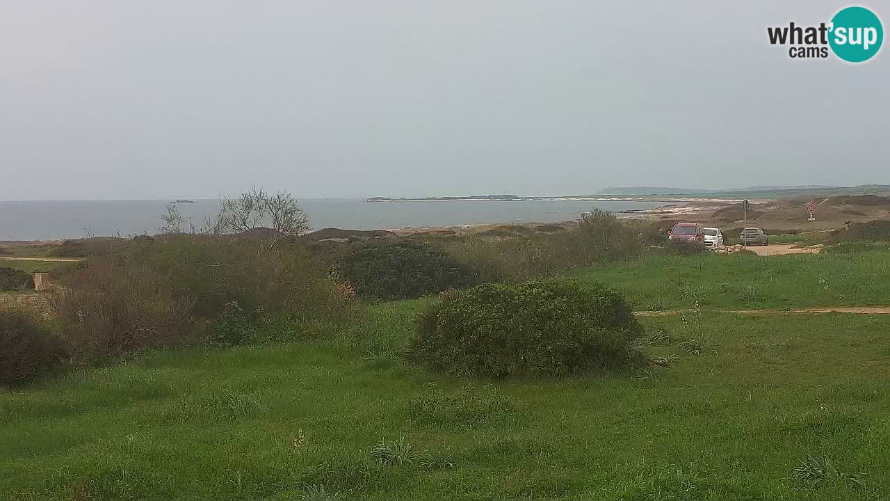 Plaža Mari Ermi | Is Arutas – Oristano