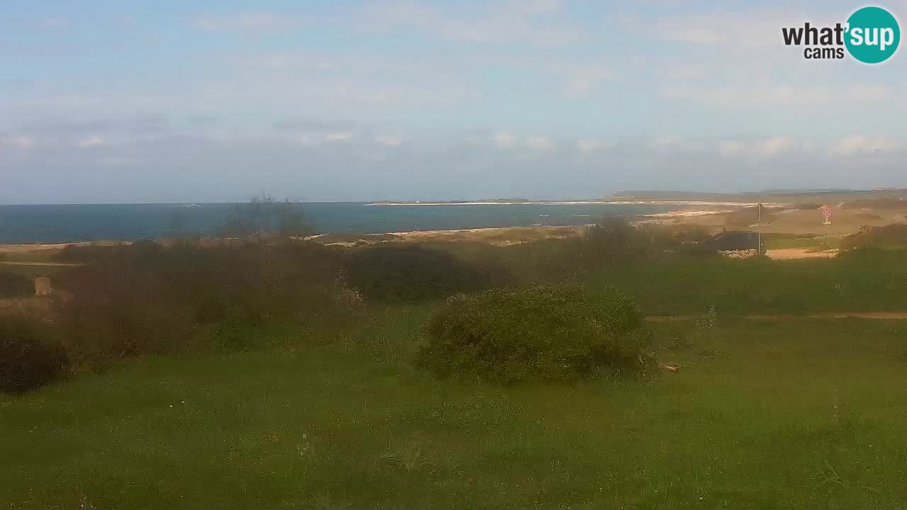 Plaža Mari Ermi | Is Arutas – Oristano