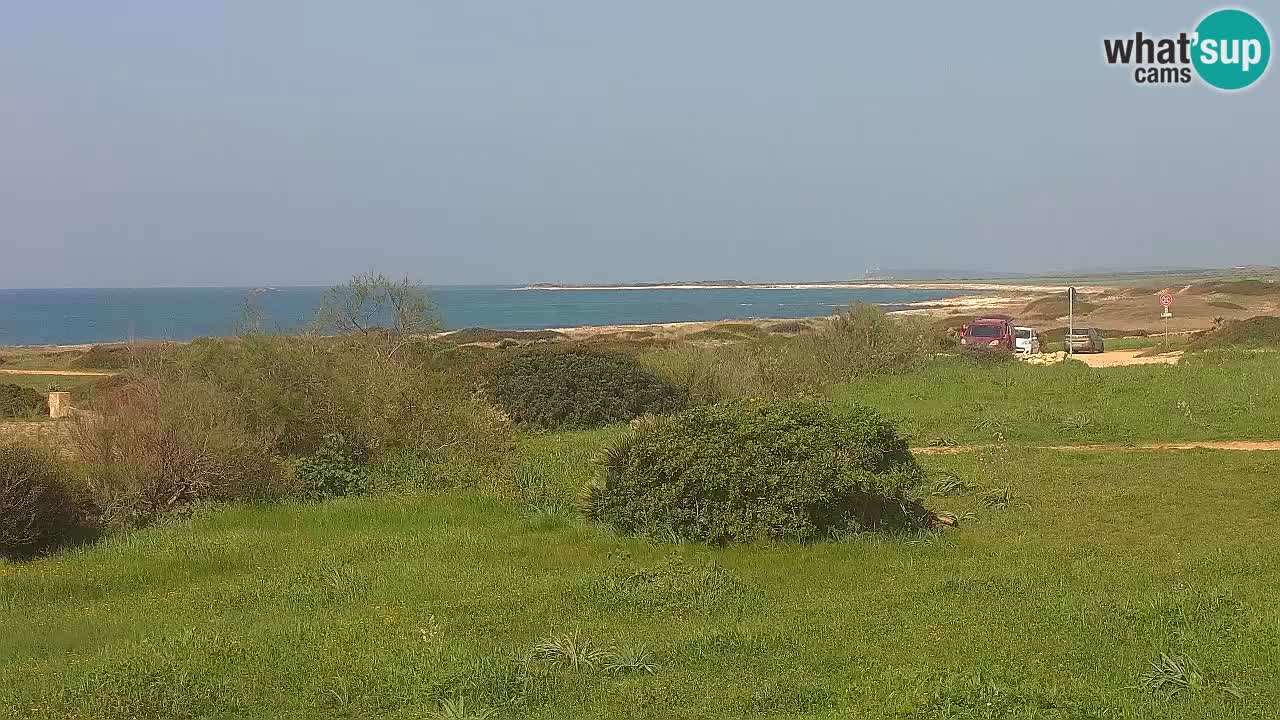 Playa Mari Ermi | Is Arutas – Oristano
