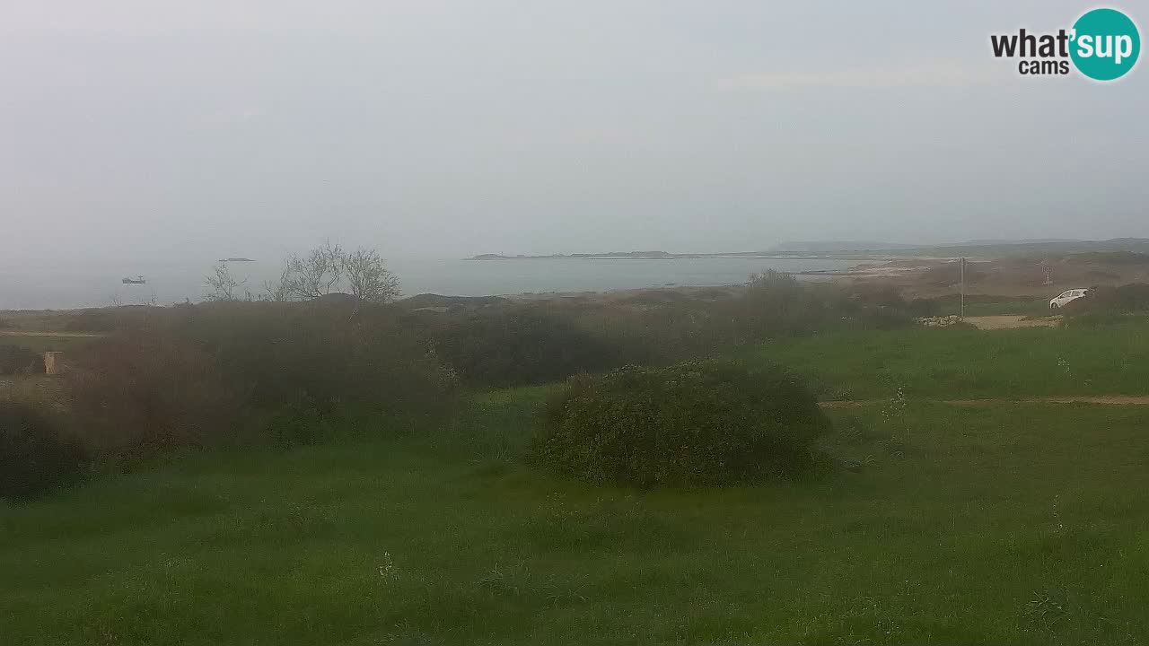 Mari Ermi Strand | Is Arutas – Oristano