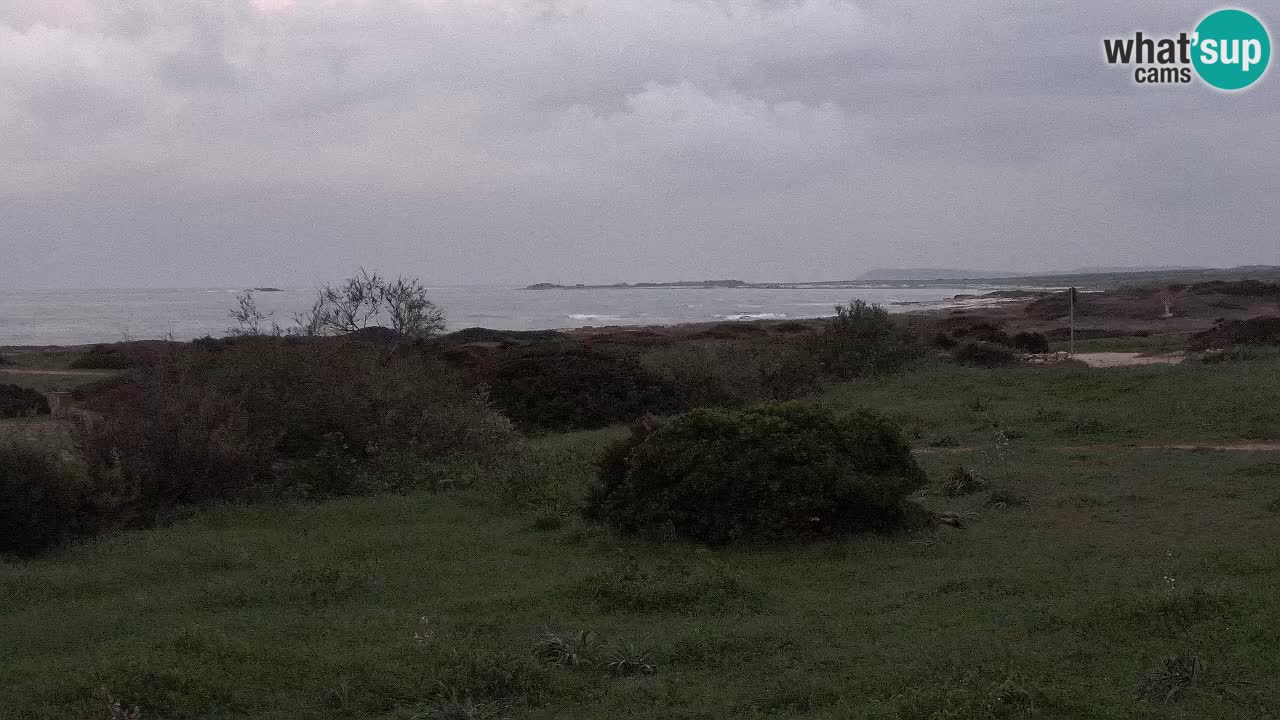 Plaža Mari Ermi | Is Arutas – Oristano