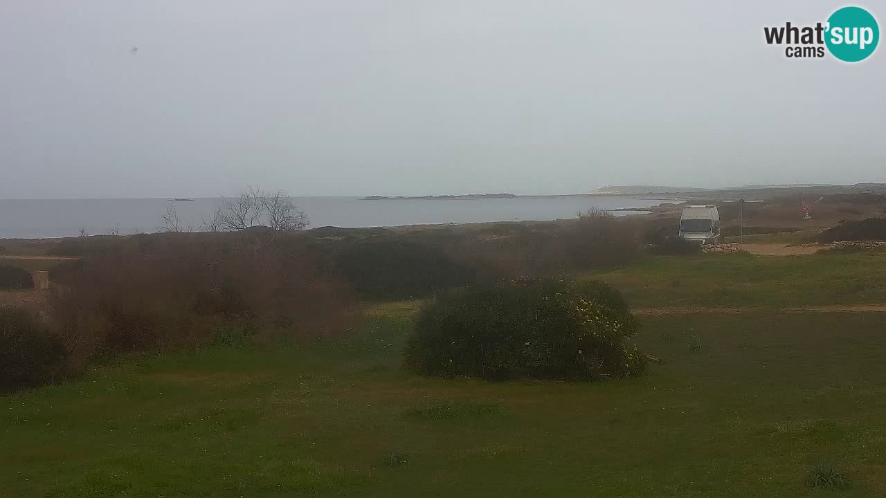 Playa Mari Ermi | Is Arutas – Oristano