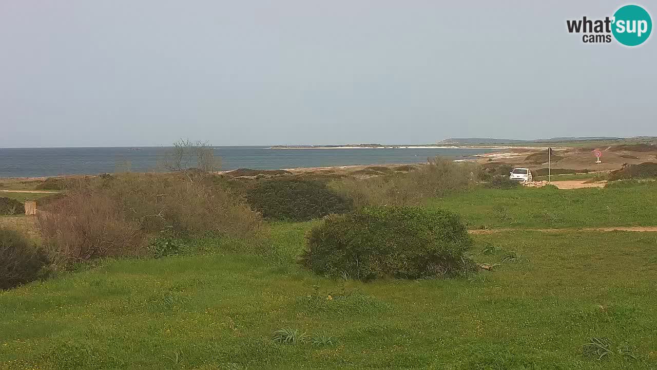 Mari Ermi Strand | Is Arutas – Oristano