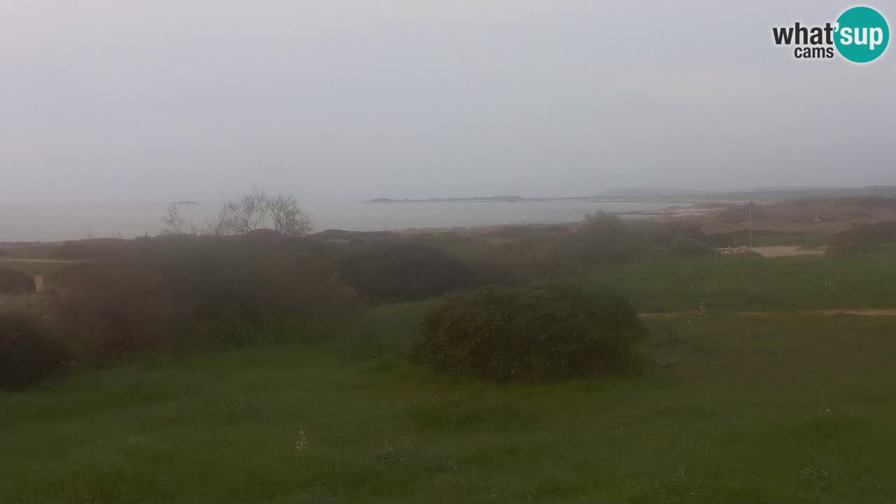 Plage Mari Ermi | Is Arutas – Oristano