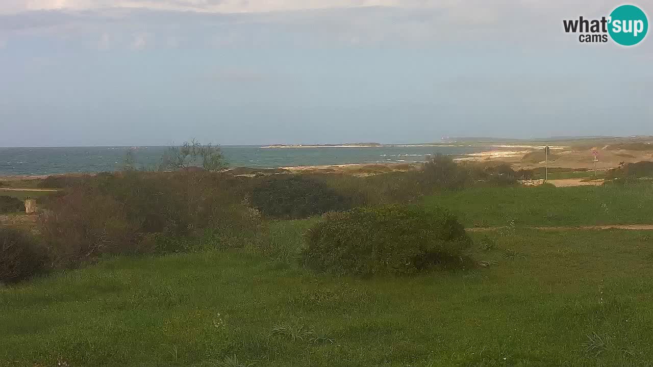 Playa Mari Ermi | Is Arutas – Oristano