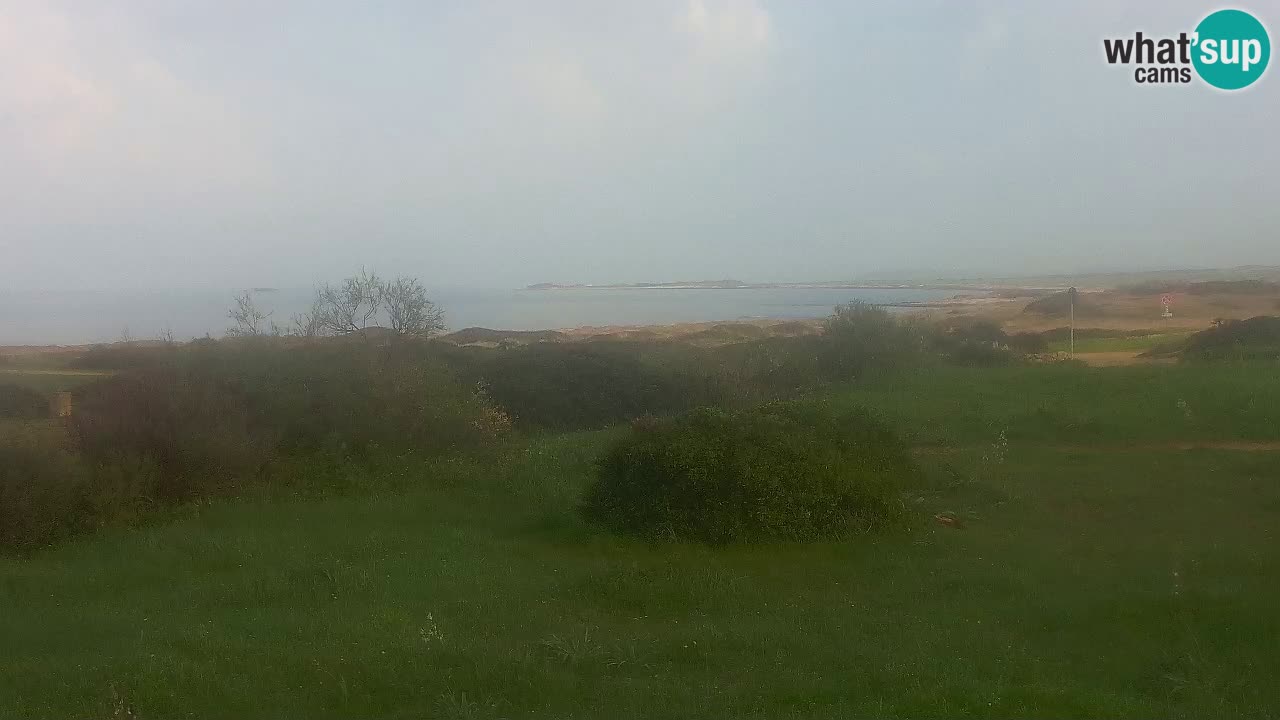 Plaža Mari Ermi | Is Arutas – Oristano