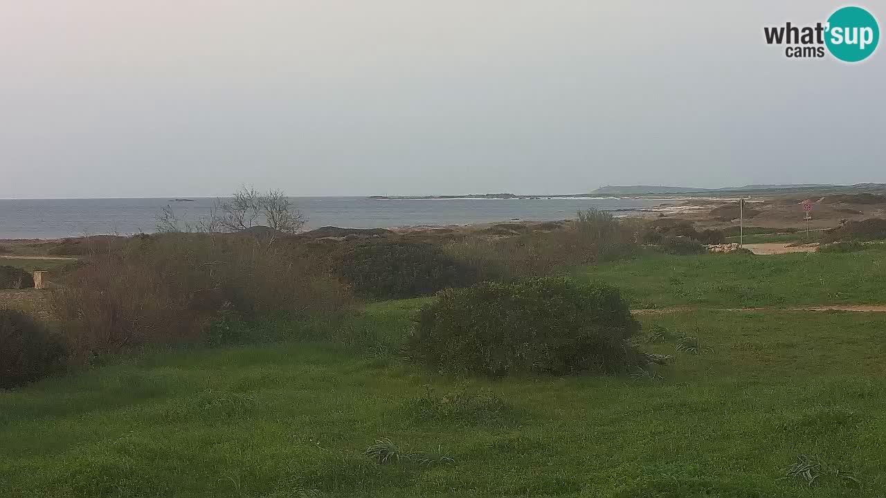 Spiaggia Mari Ermi | Is Arutas – Oristano