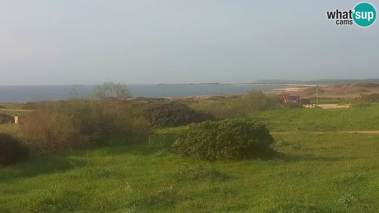 Plage Mari Ermi | Is Arutas – Oristano