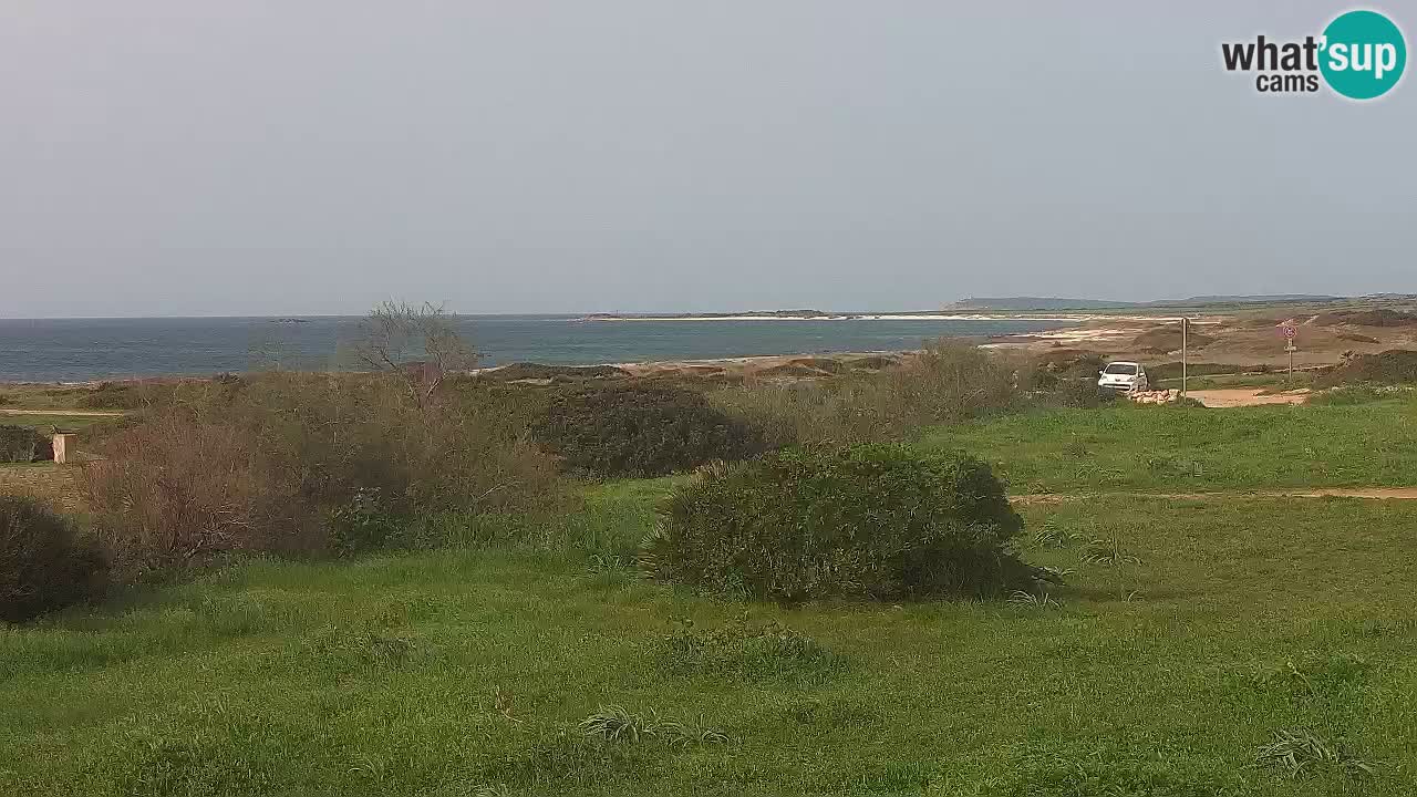 Spiaggia Mari Ermi | Is Arutas – Oristano