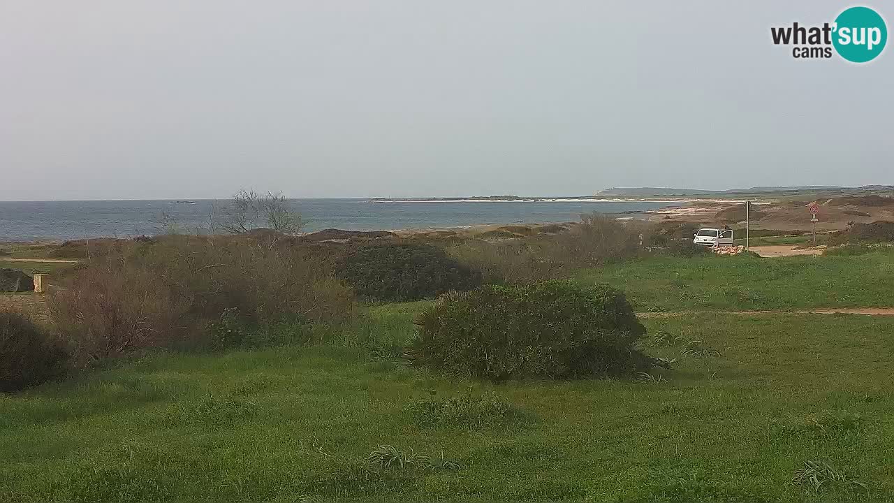 Mari Ermi beach | Is Arutas – Oristano