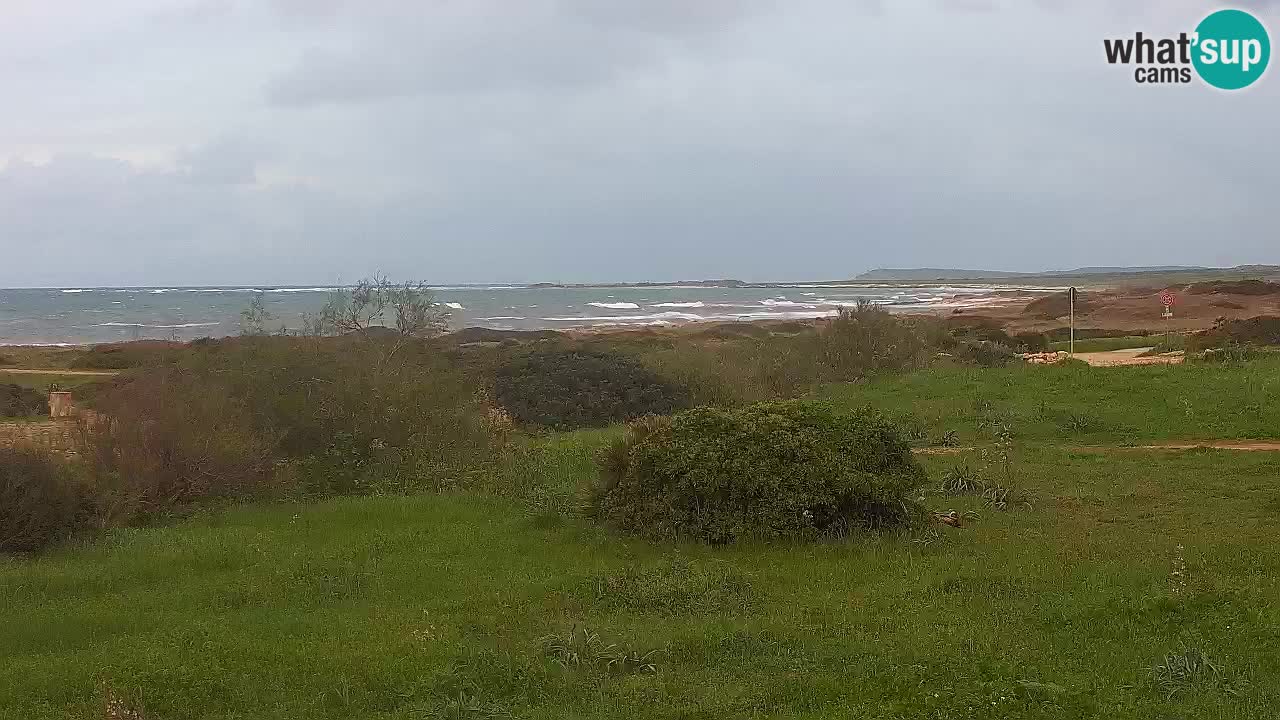 Playa Mari Ermi | Is Arutas – Oristano