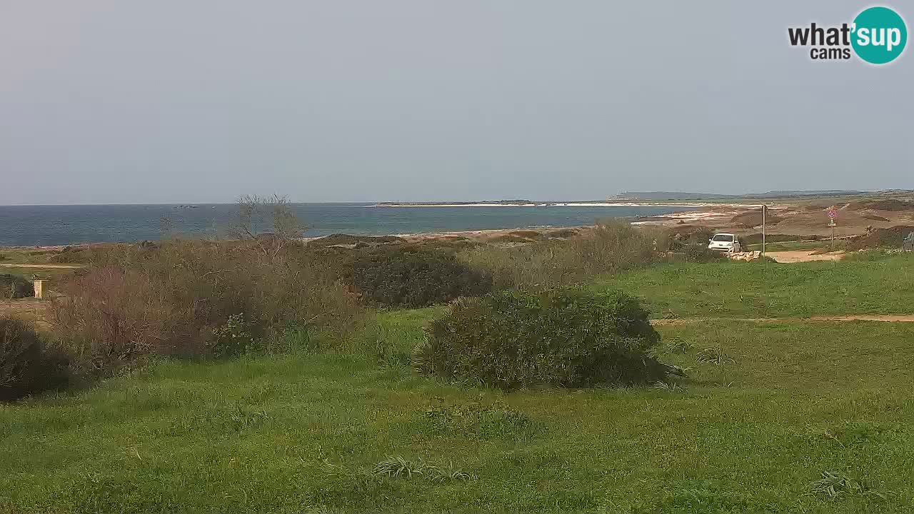 Plage Mari Ermi | Is Arutas – Oristano