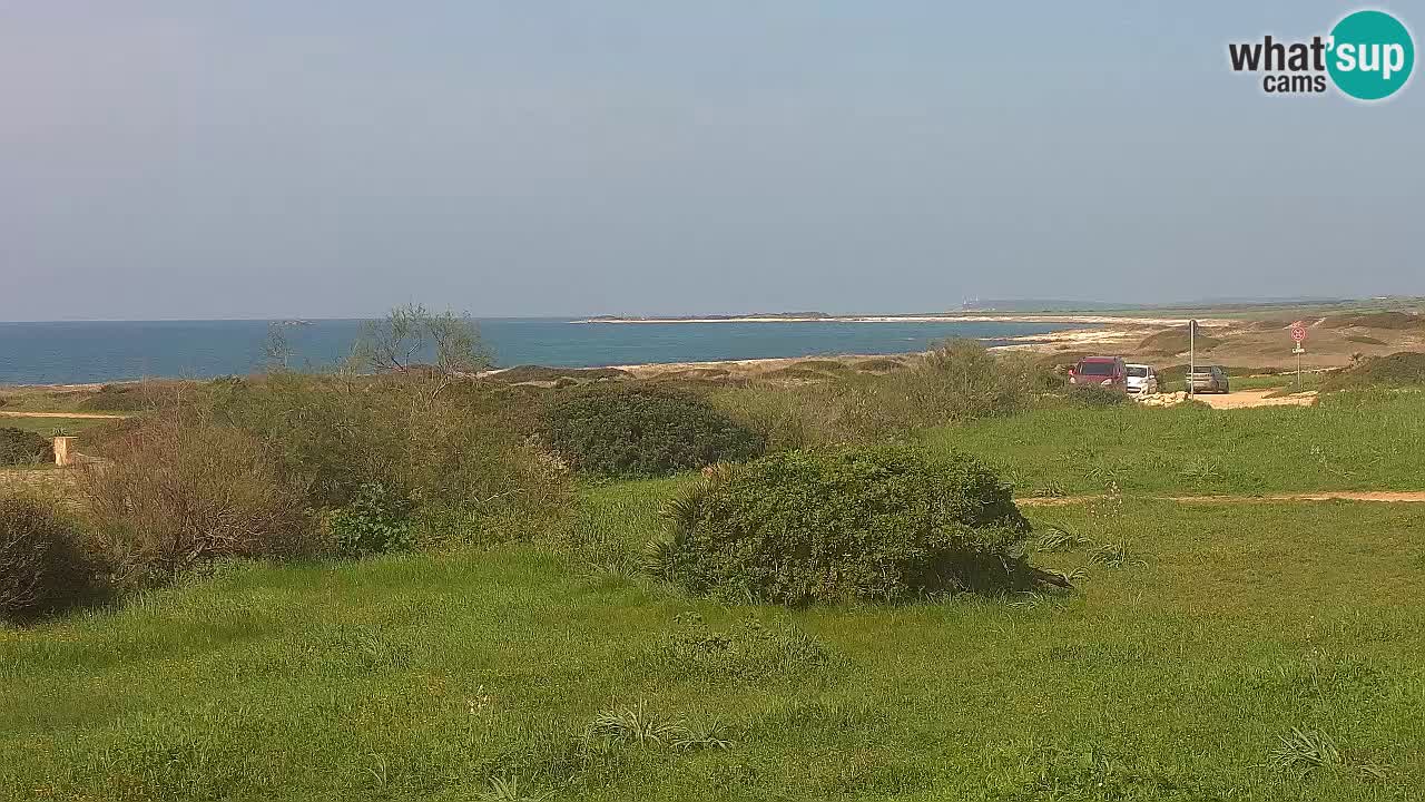 Plaža Mari Ermi | Is Arutas – Oristano