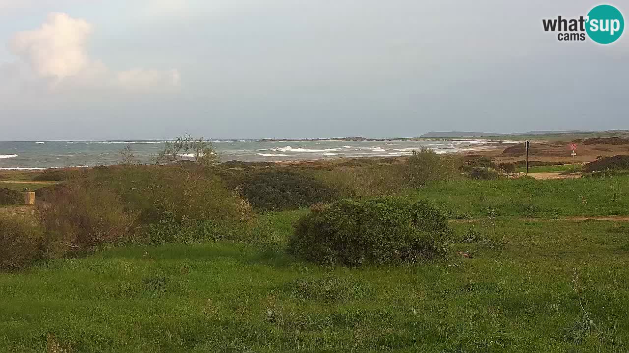 Playa Mari Ermi | Is Arutas – Oristano