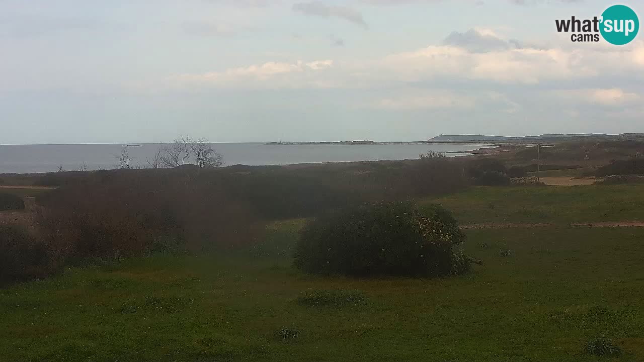 Plaža Mari Ermi | Is Arutas – Oristano