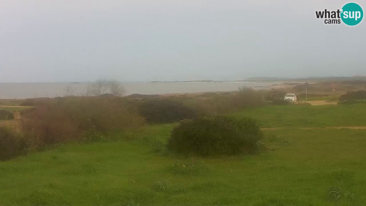 Mari Ermi Strand | Is Arutas – Oristano