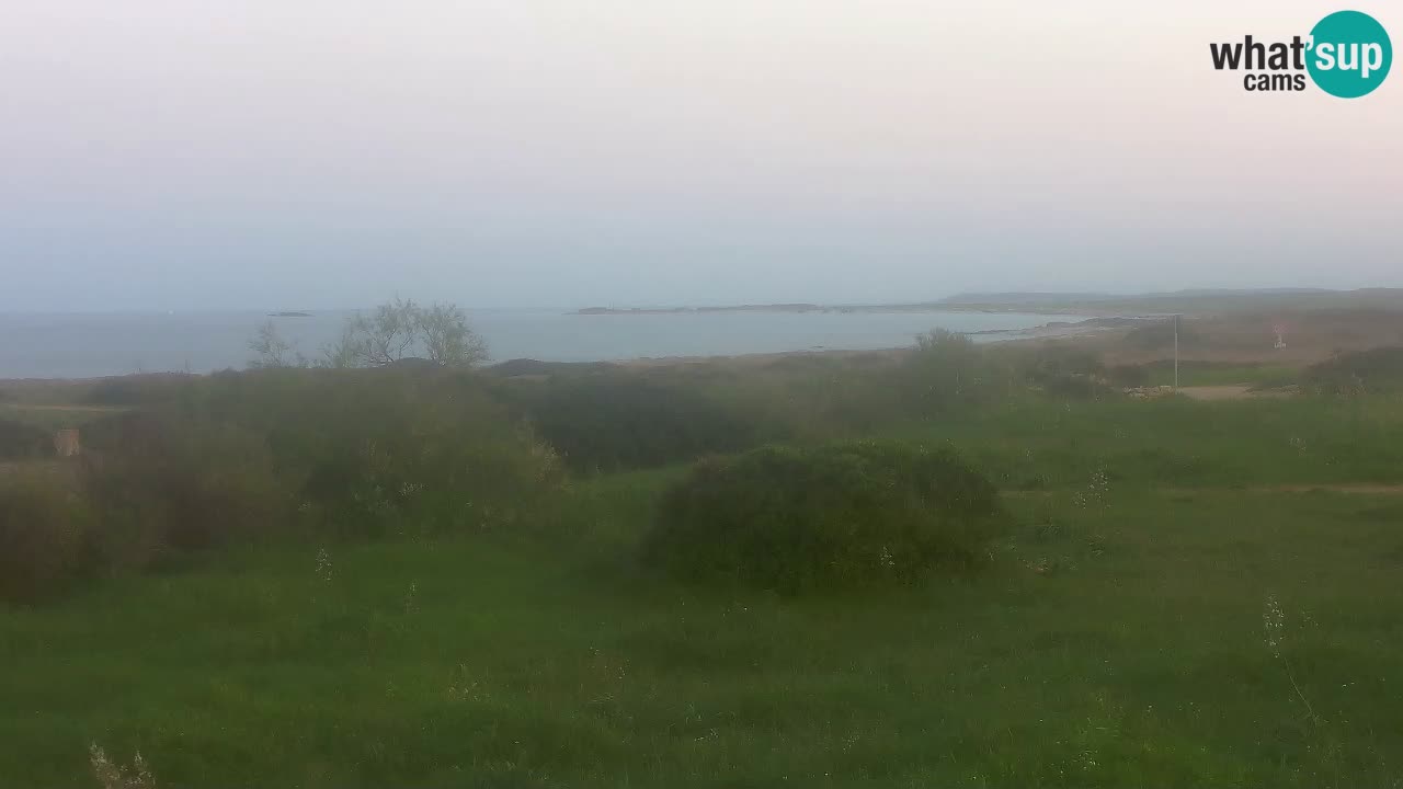 Playa Mari Ermi | Is Arutas – Oristano