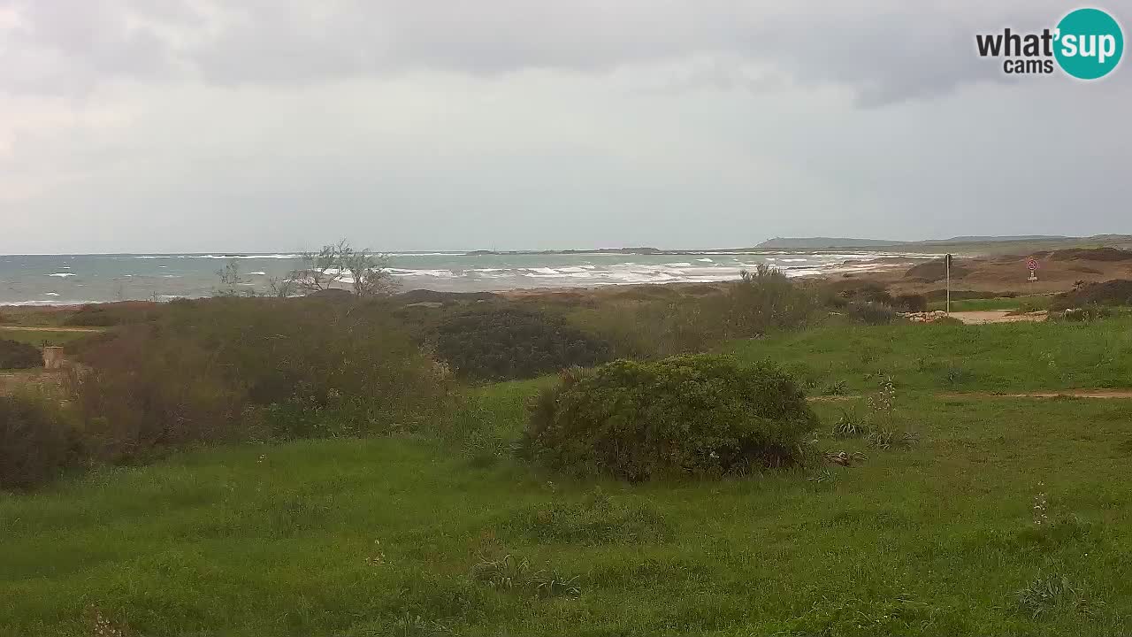 Mari Ermi Strand | Is Arutas – Oristano