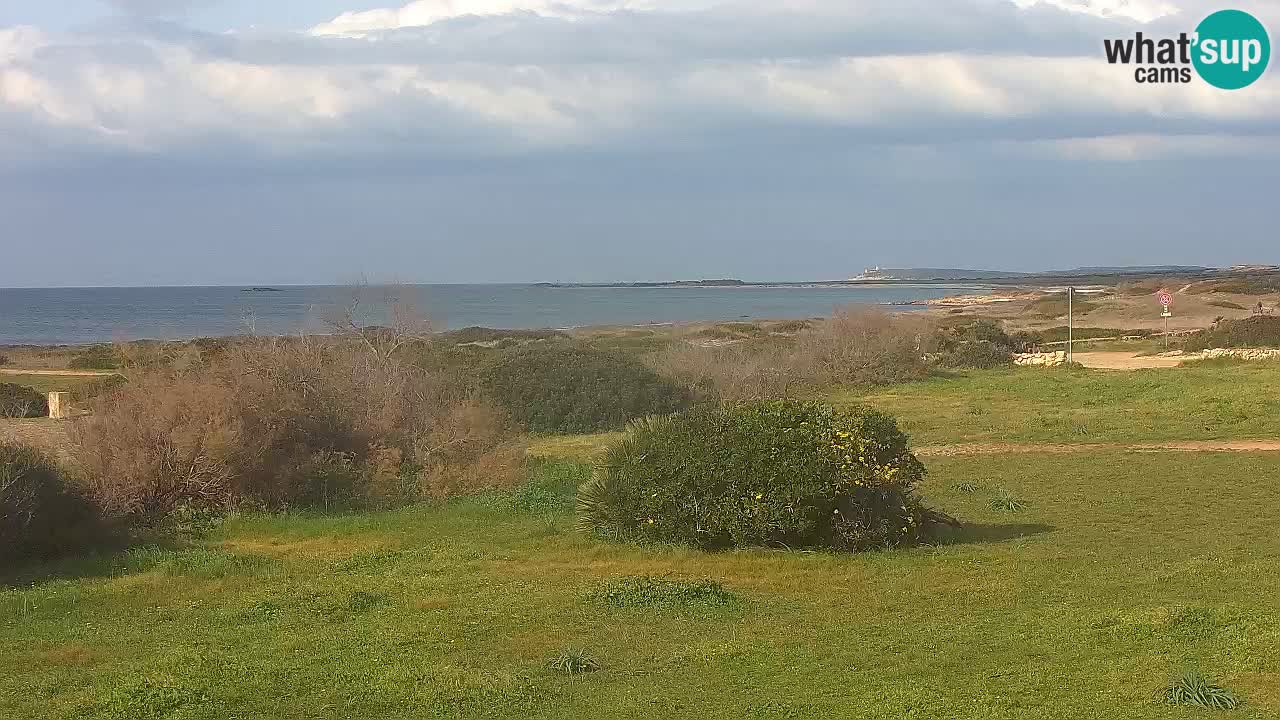 Playa Mari Ermi | Is Arutas – Oristano