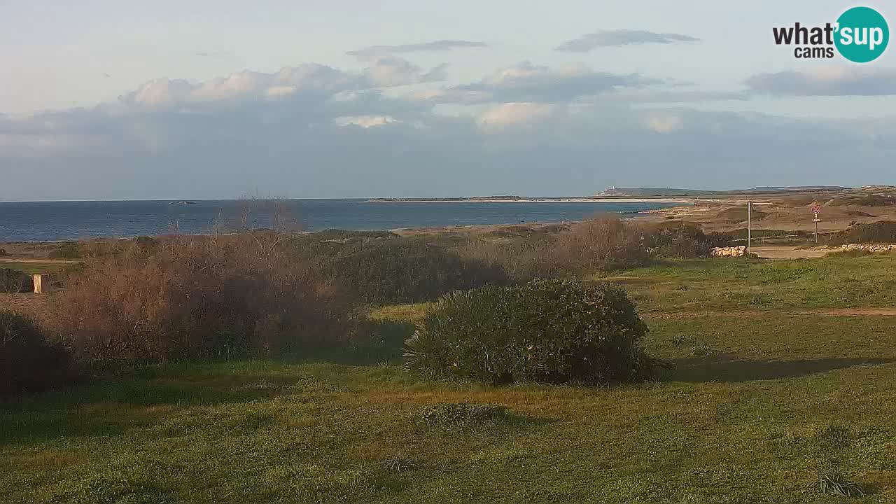 Plaža Mari Ermi | Is Arutas – Oristano