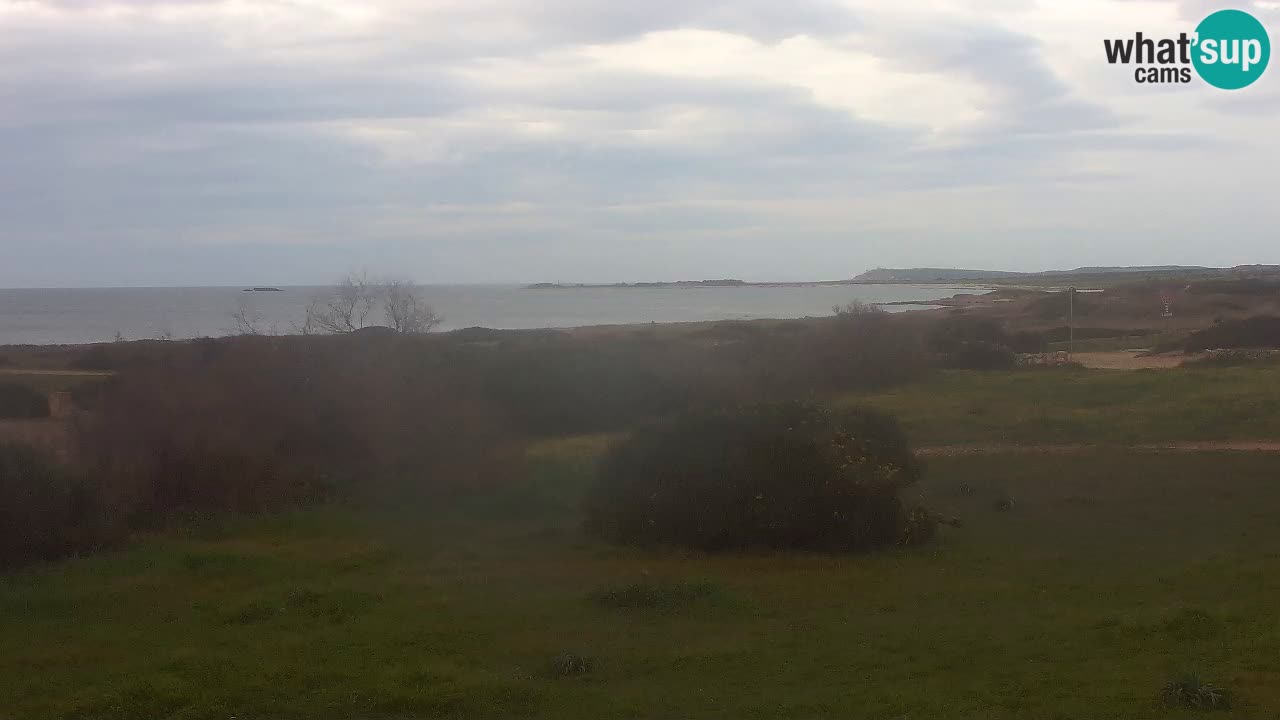 Plaža Mari Ermi | Is Arutas – Oristano