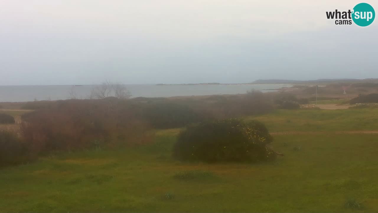 Plage Mari Ermi | Is Arutas – Oristano