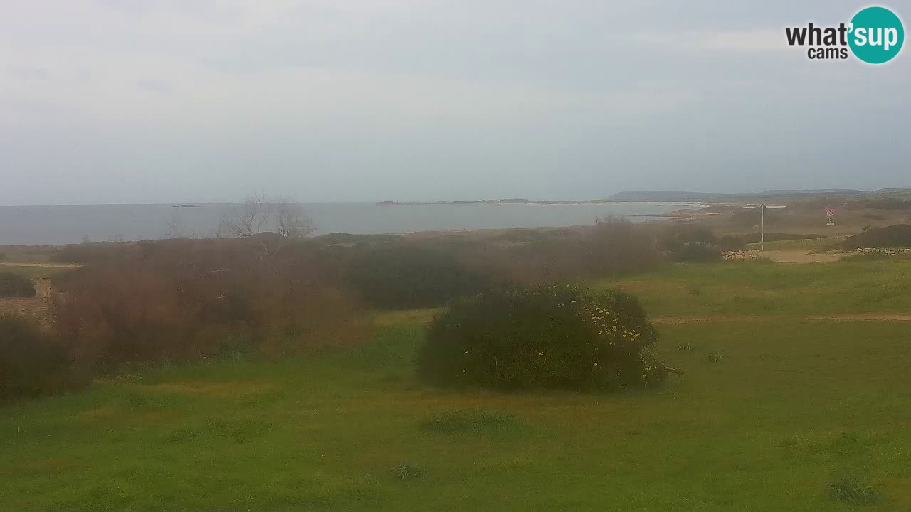 Mari Ermi beach | Is Arutas – Oristano