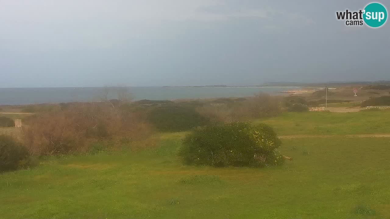 Plaža Mari Ermi | Is Arutas – Oristano