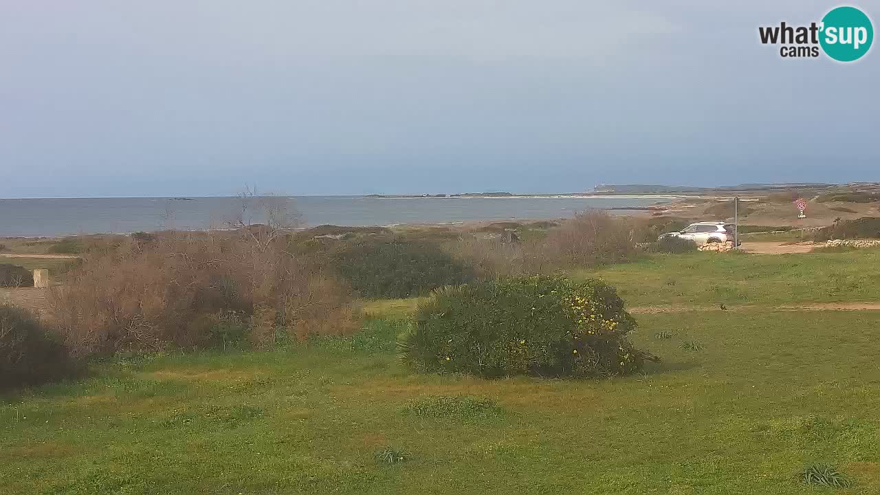 Plaža Mari Ermi | Is Arutas – Oristano