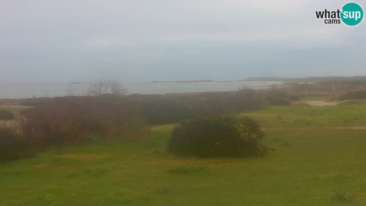 Spiaggia Mari Ermi | Is Arutas – Oristano