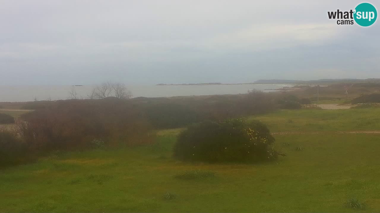 Spiaggia Mari Ermi | Is Arutas – Oristano