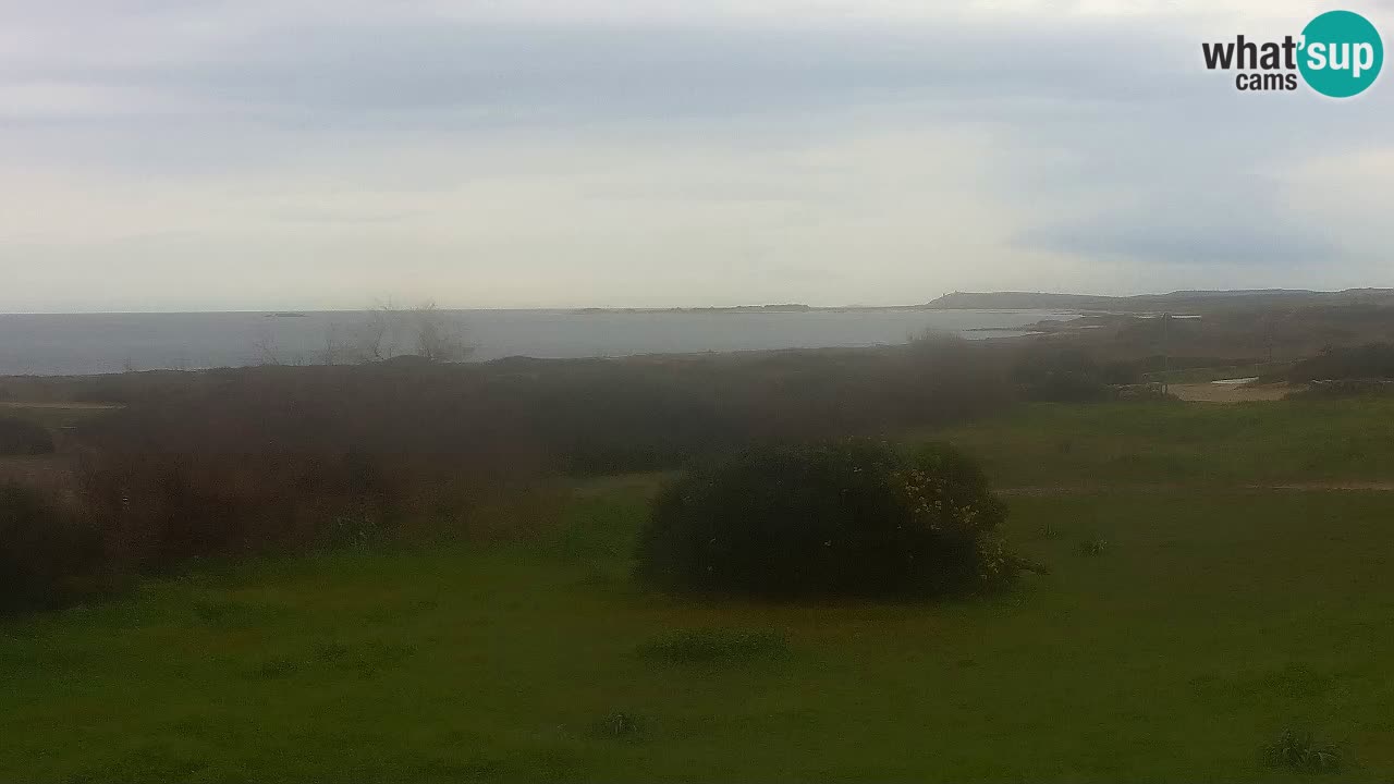 Spiaggia Mari Ermi | Is Arutas – Oristano