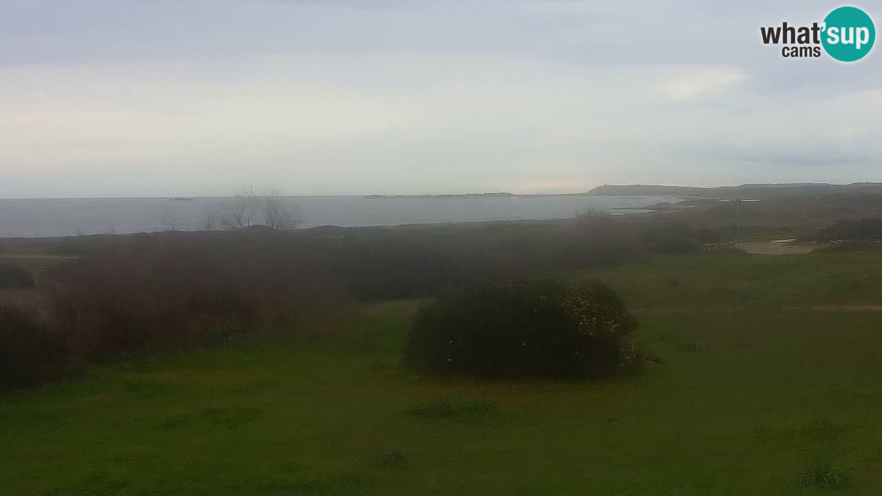 Plaža Mari Ermi | Is Arutas – Oristano