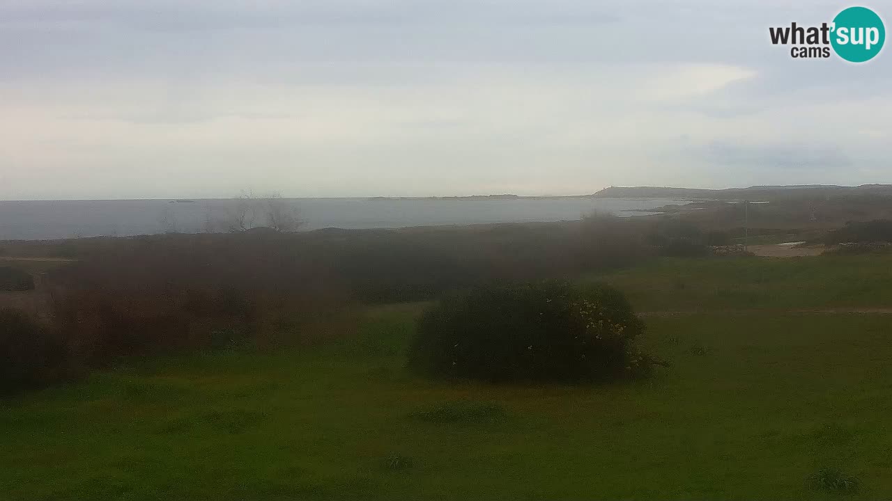 Plage Mari Ermi | Is Arutas – Oristano