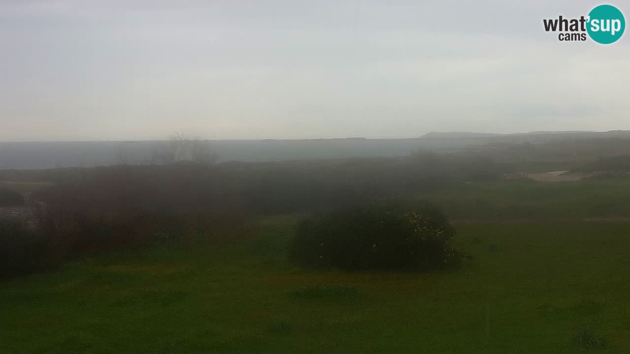 Mari Ermi Strand | Is Arutas – Oristano