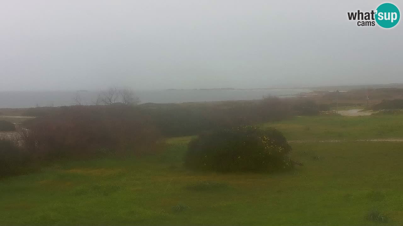 Plaža Mari Ermi | Is Arutas – Oristano