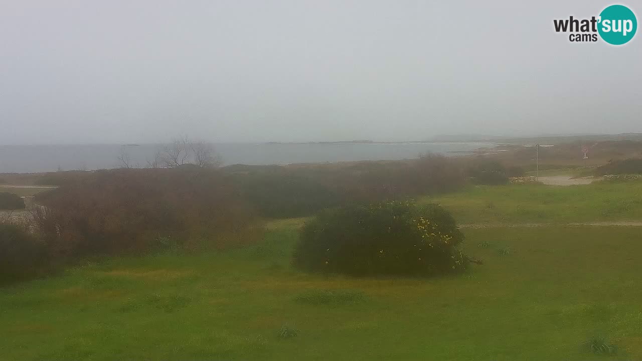 Plaža Mari Ermi | Is Arutas – Oristano