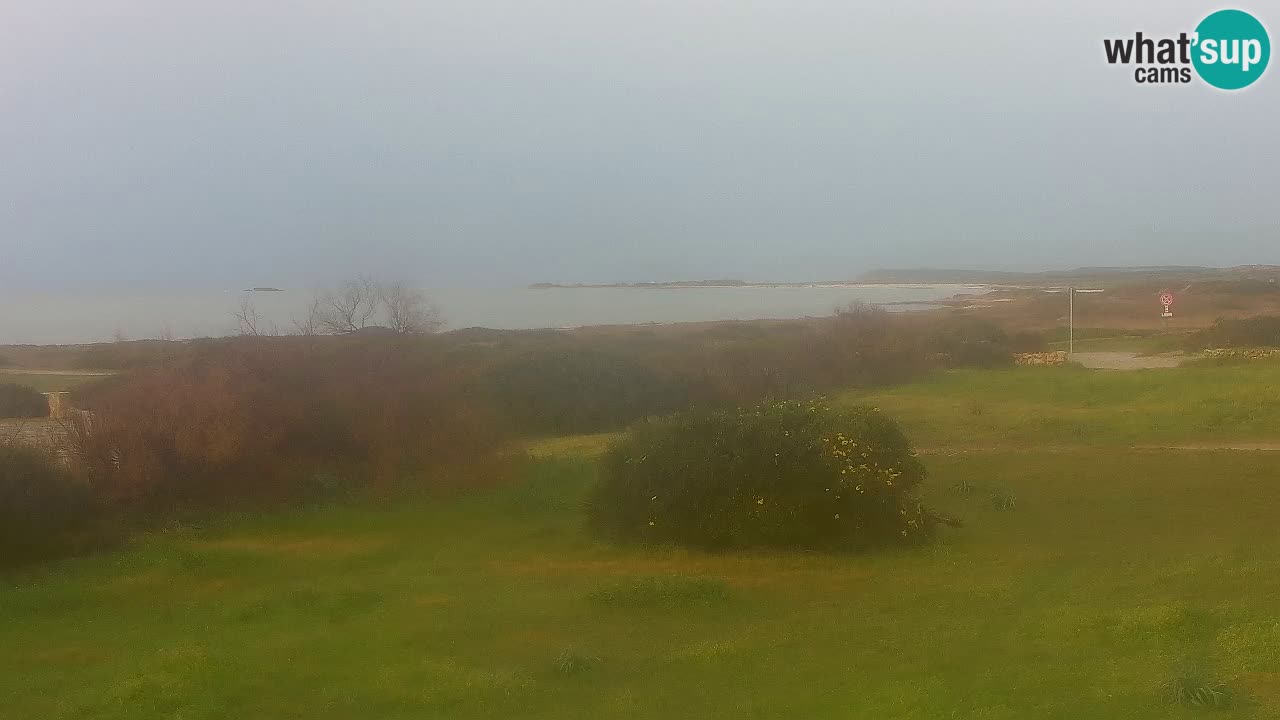 Spiaggia Mari Ermi | Is Arutas – Oristano