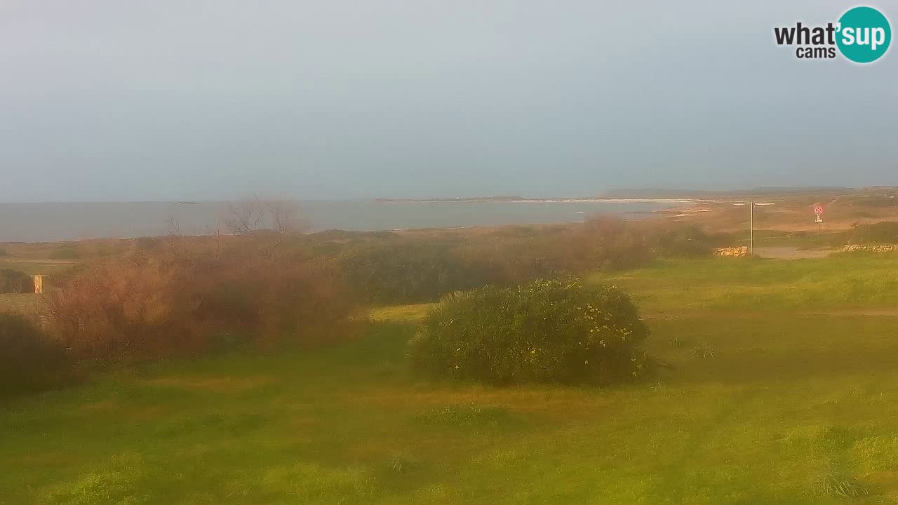 Spiaggia Mari Ermi | Is Arutas – Oristano