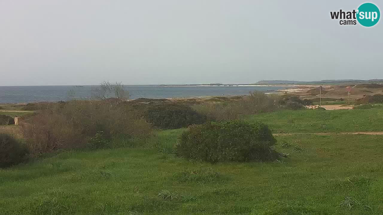 Mari Ermi beach | Is Arutas – Oristano