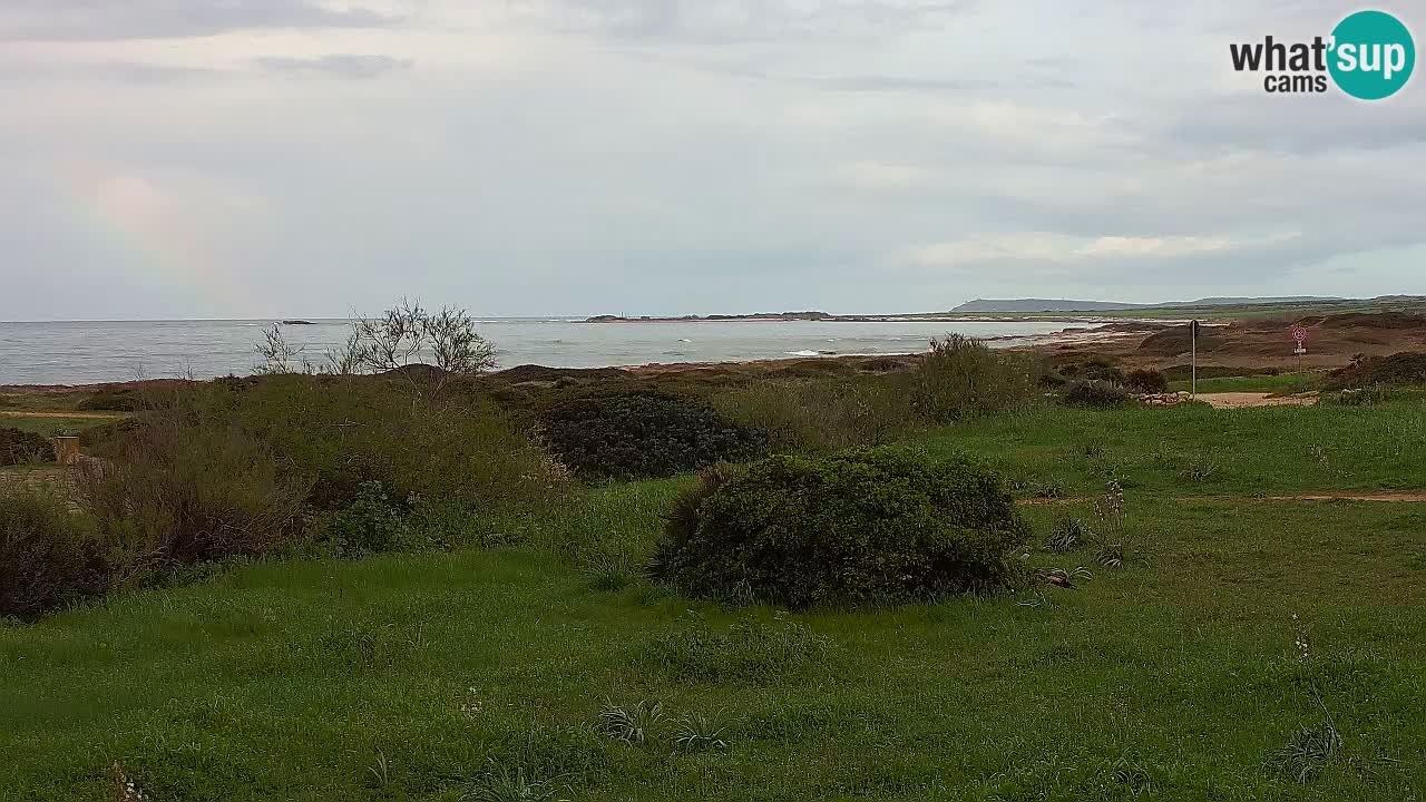 Plage Mari Ermi | Is Arutas – Oristano